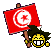 tunisie flag